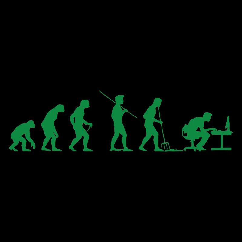 Programmeur Évolution Informaticien Développeur