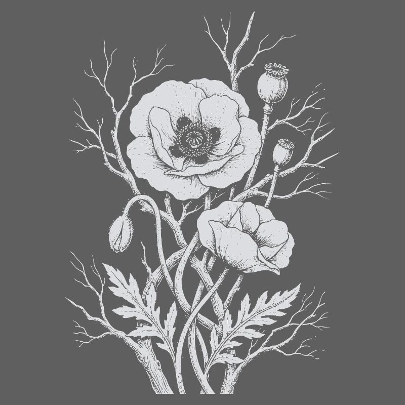 Fleurs de pavot