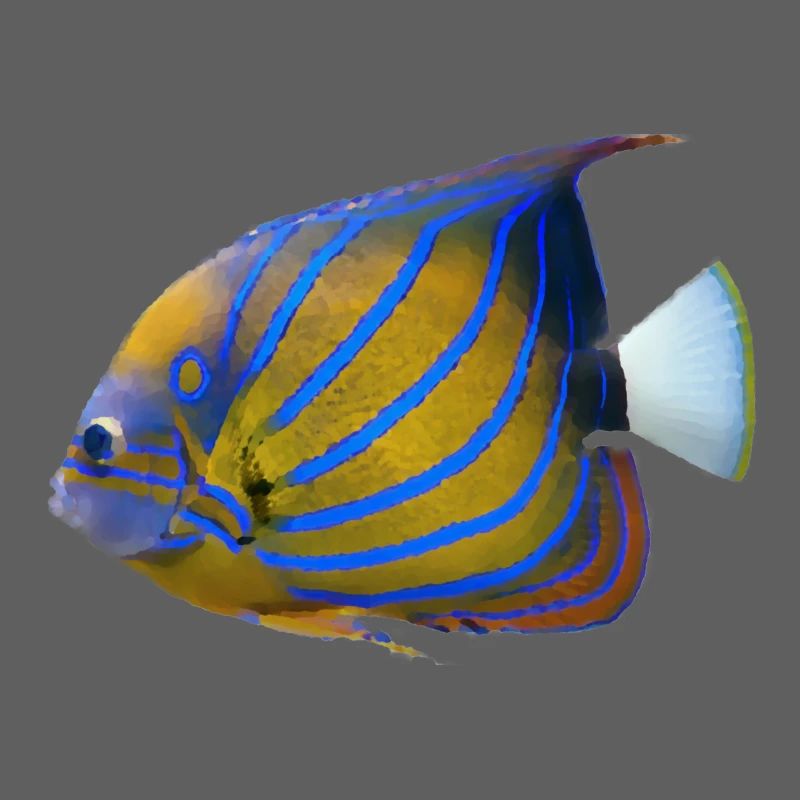 poisson tropical