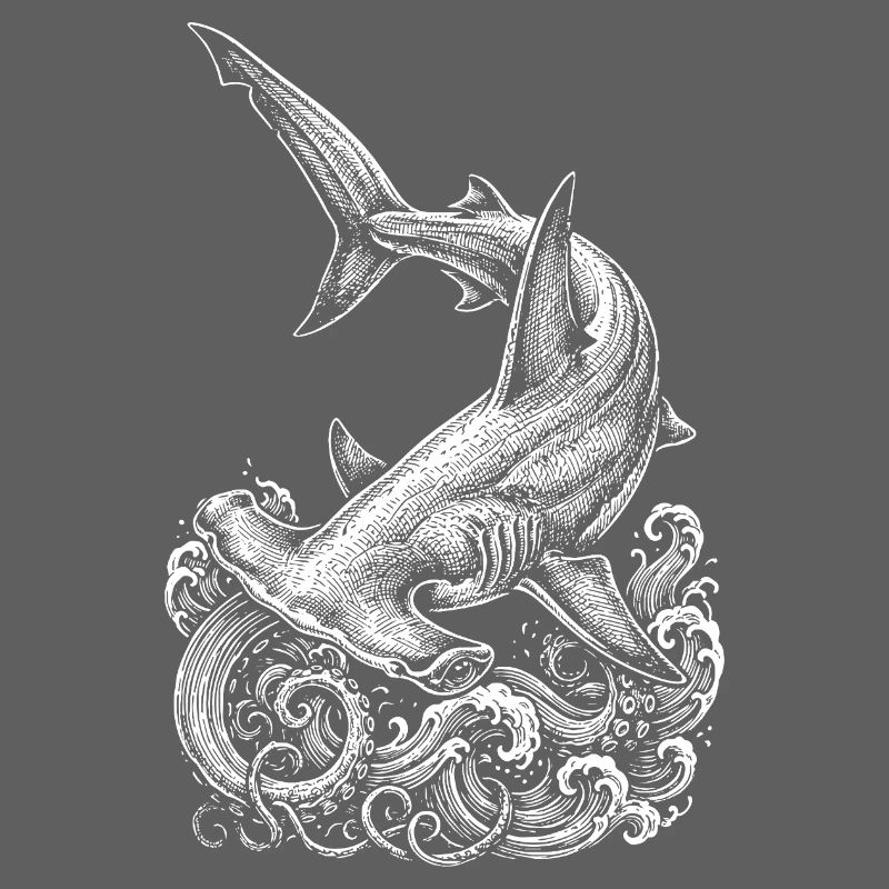 Conception du requin-marteau