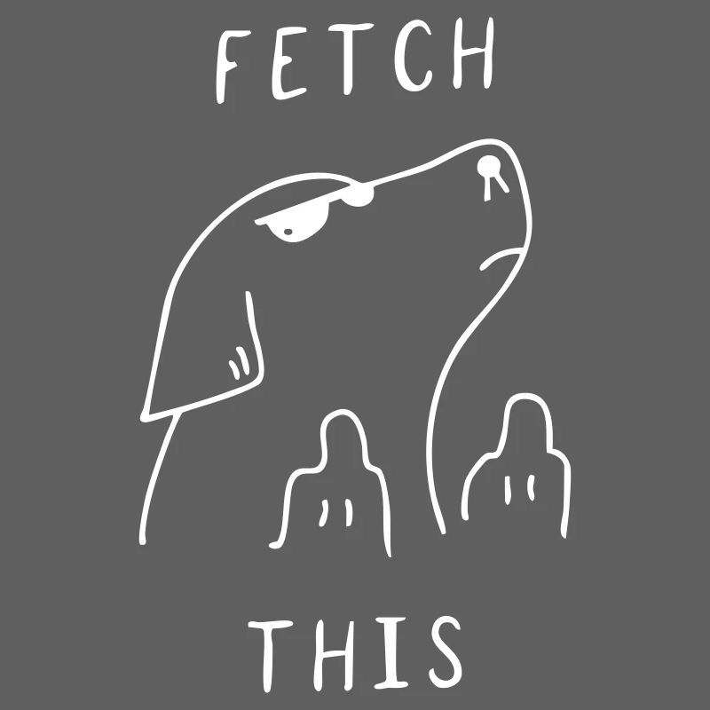 Fetch This | Funny Dog
