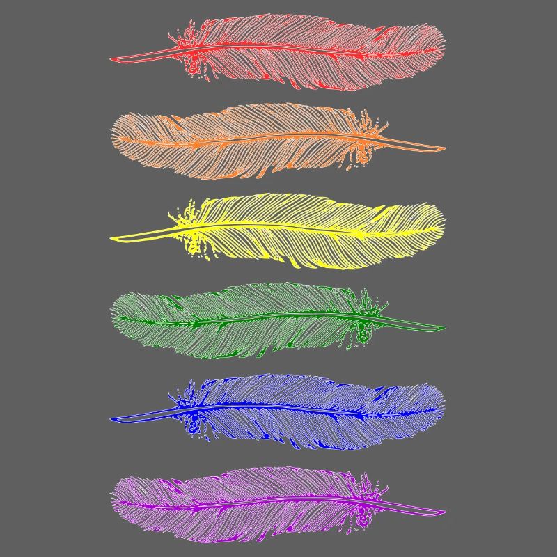 Feathers Rainbow