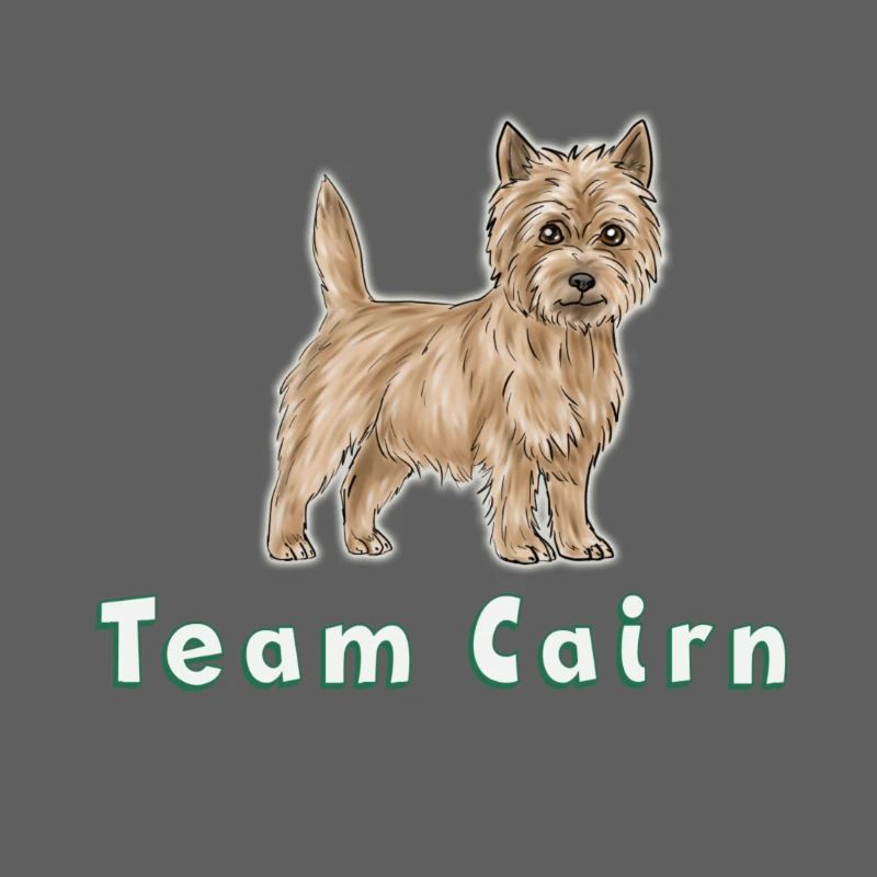 Team Cairn