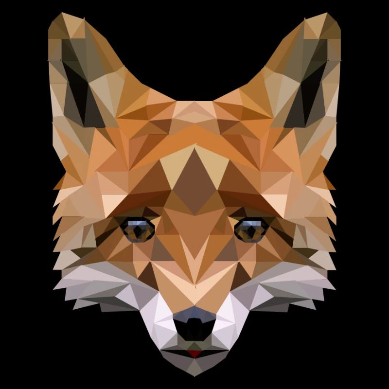 Polygon Fuchs