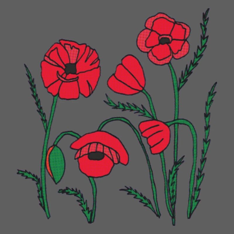 Graines de pavot