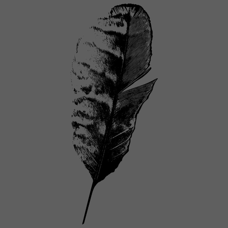 Plume d’écriture