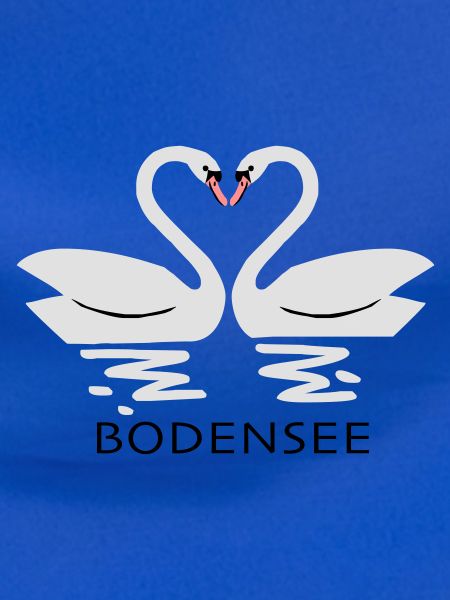 Bodensee Schwäne