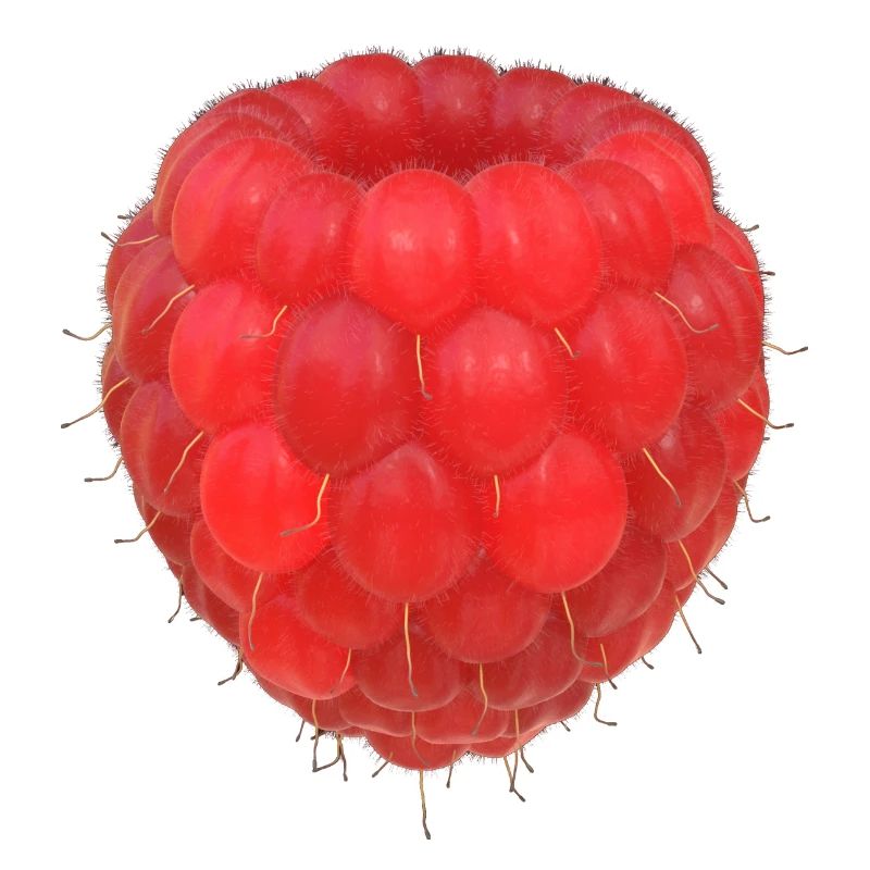 Modèle de grappe de framboises