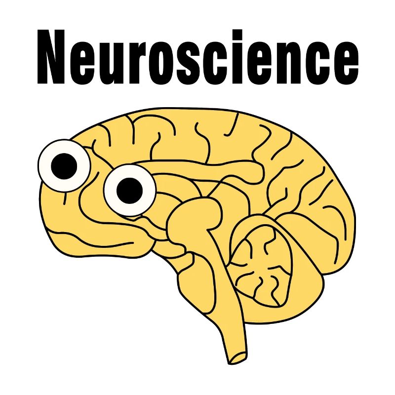 Neuroscience Brain