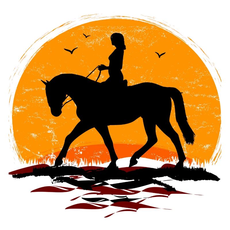 Equitation - Cavalier - École d’équitation - Cheval - Soleil