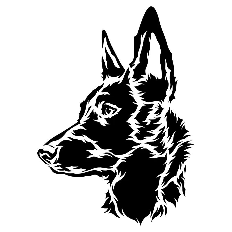 Malinois Shepherd Holland Herder