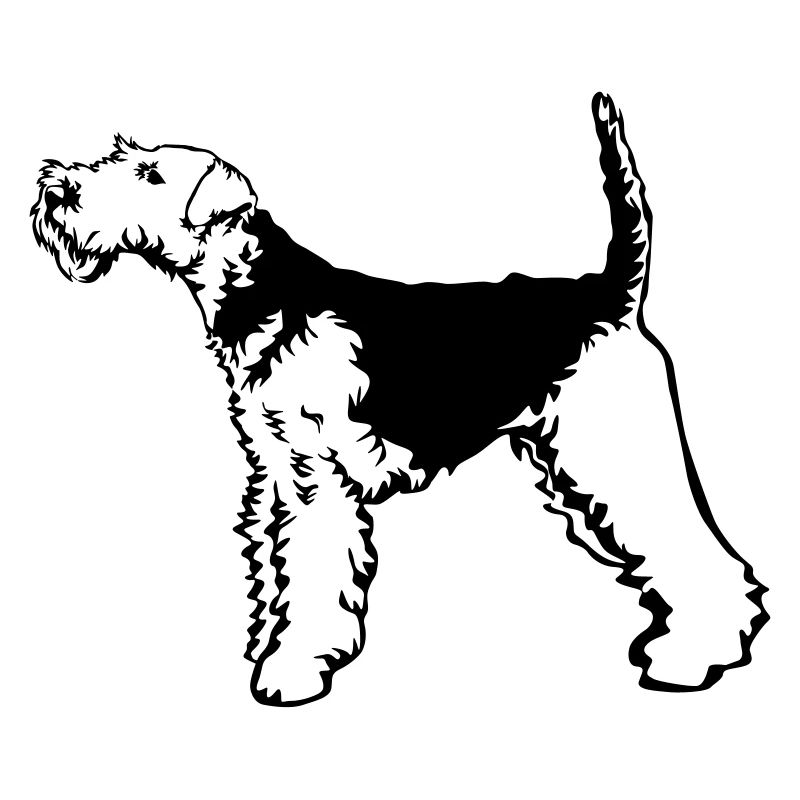Welsh Terrier