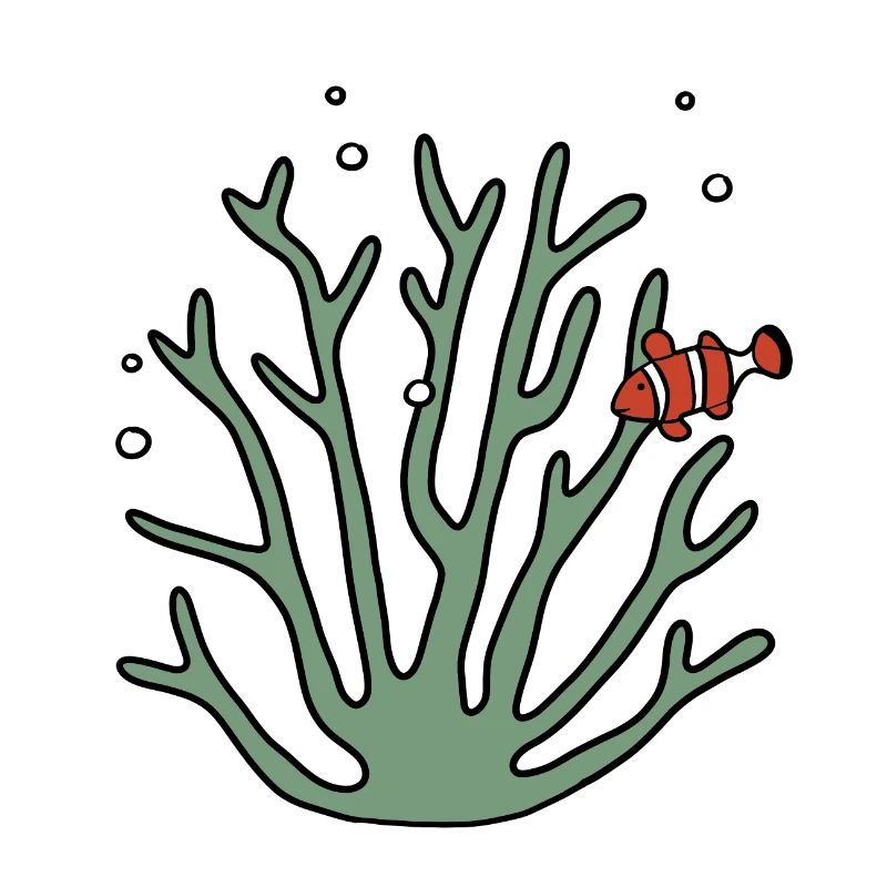 Coral anemone fish