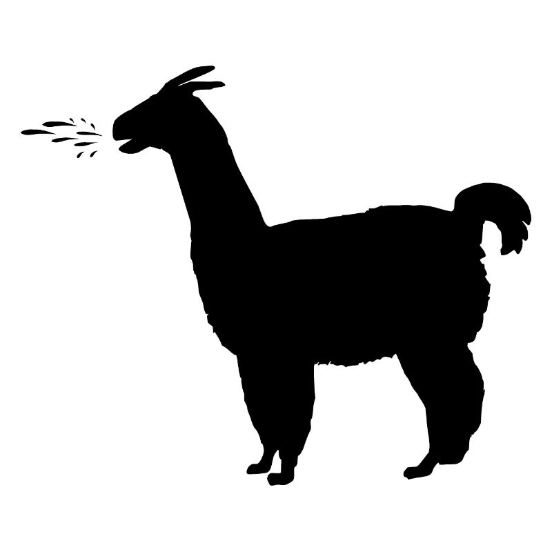 Lama spuckt