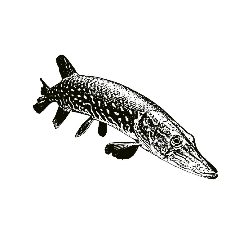 Pike