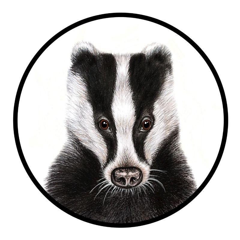 Badger with logo