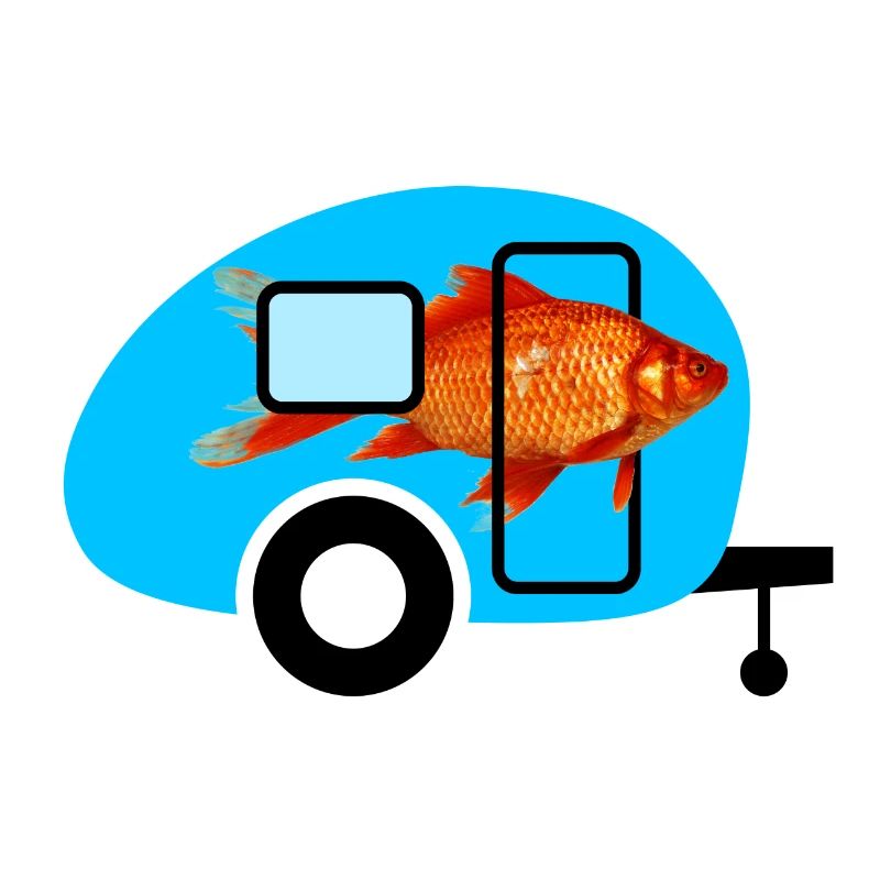 Caravan Goldfish Camping Caravan Vintage Fish