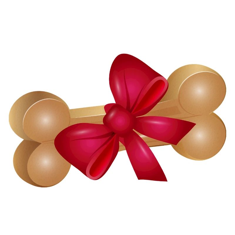 Gift Chew Bone with Red Ribbon