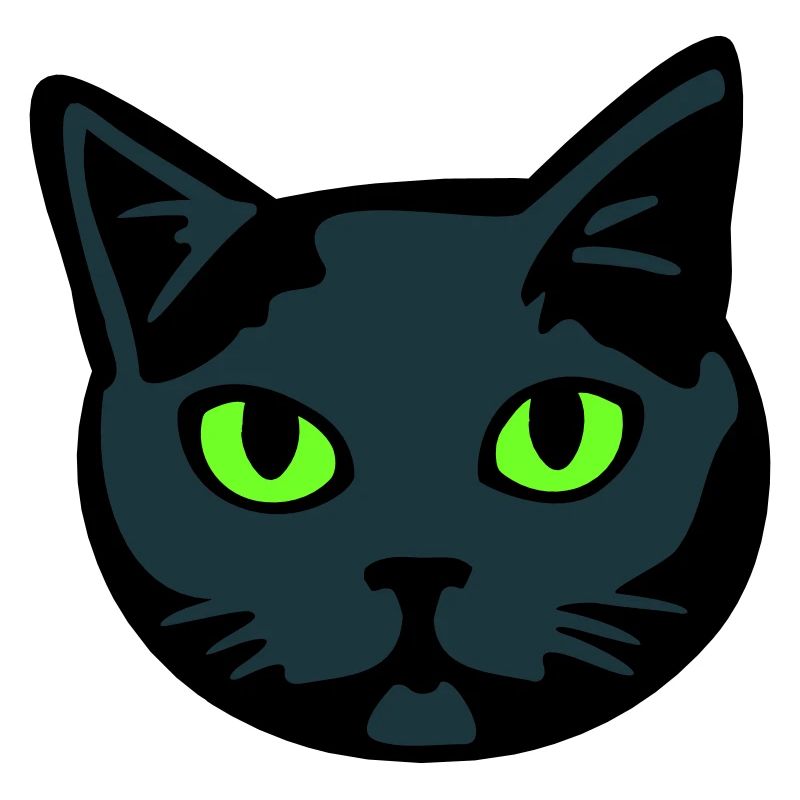 Graue Katze / Kater "Britisch Kurzhaar"
