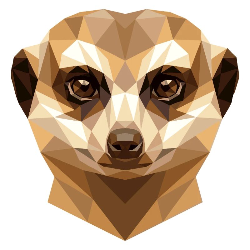 Suricate Suricate Douce Mangouste Suricate