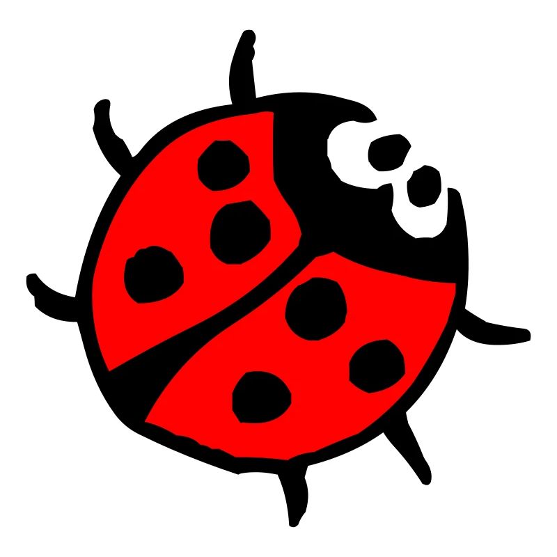 Coccinelle