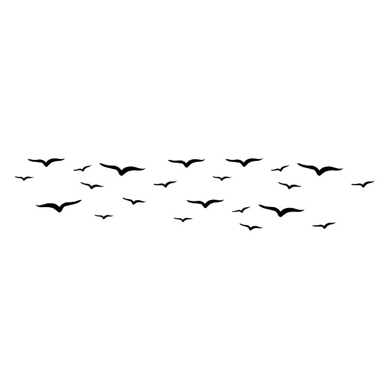 oiseaux