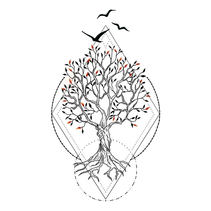 Coucher de soleil feuillu