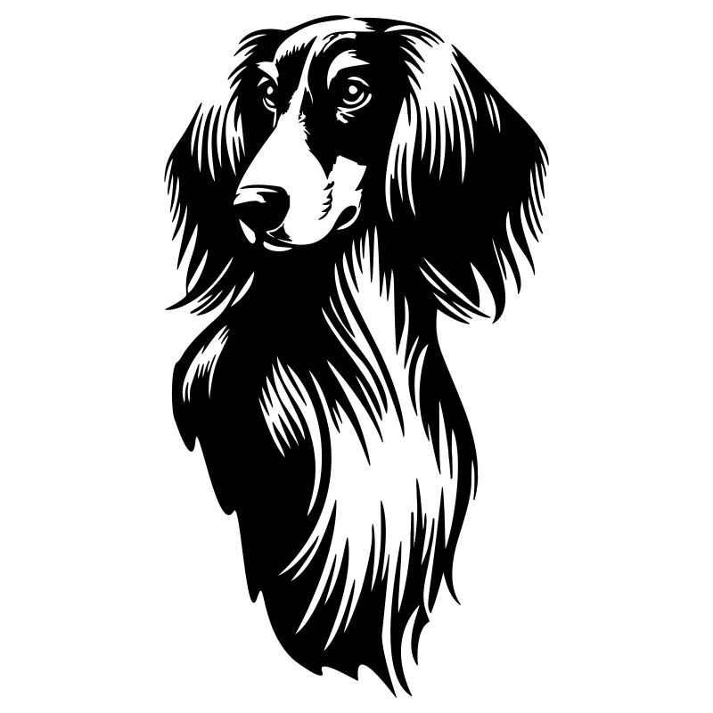 Tête de Saluki