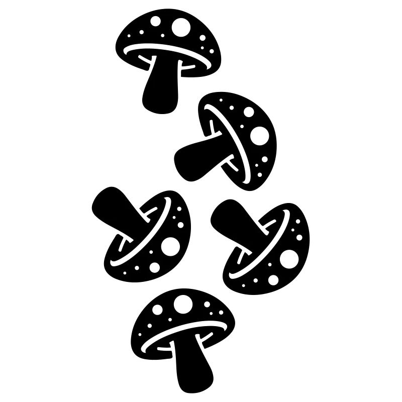 Champignons Champignon Crapaud