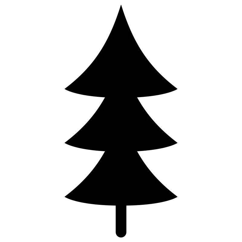 Fir