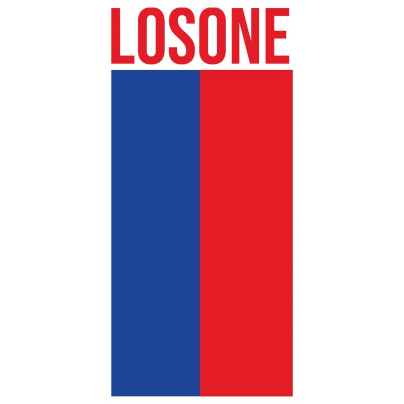 Minimalist Losone Flag Design
