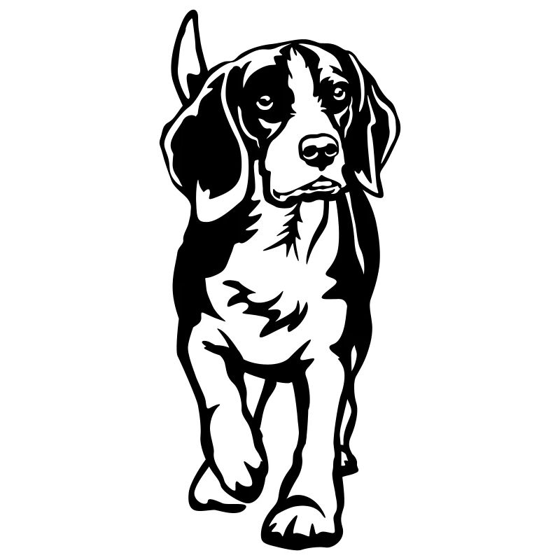 Beagle
