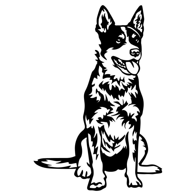 Australian Cattle Dog