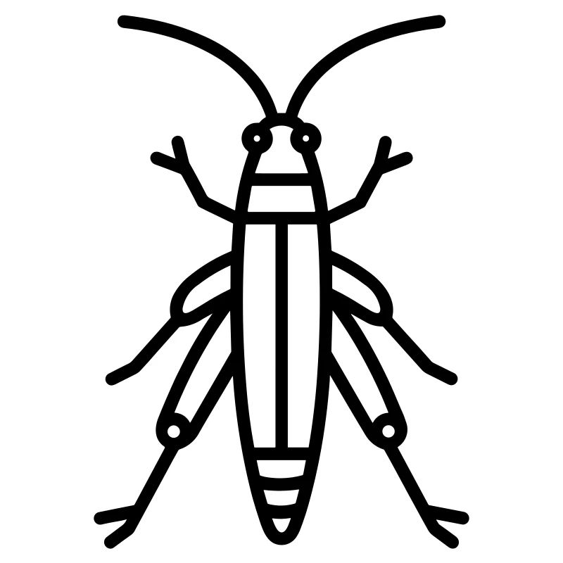grasshopper