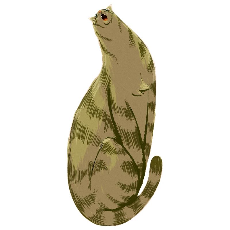 Squishy Olive