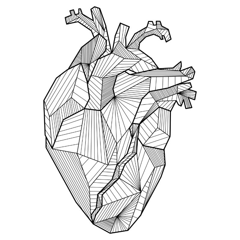 Heart