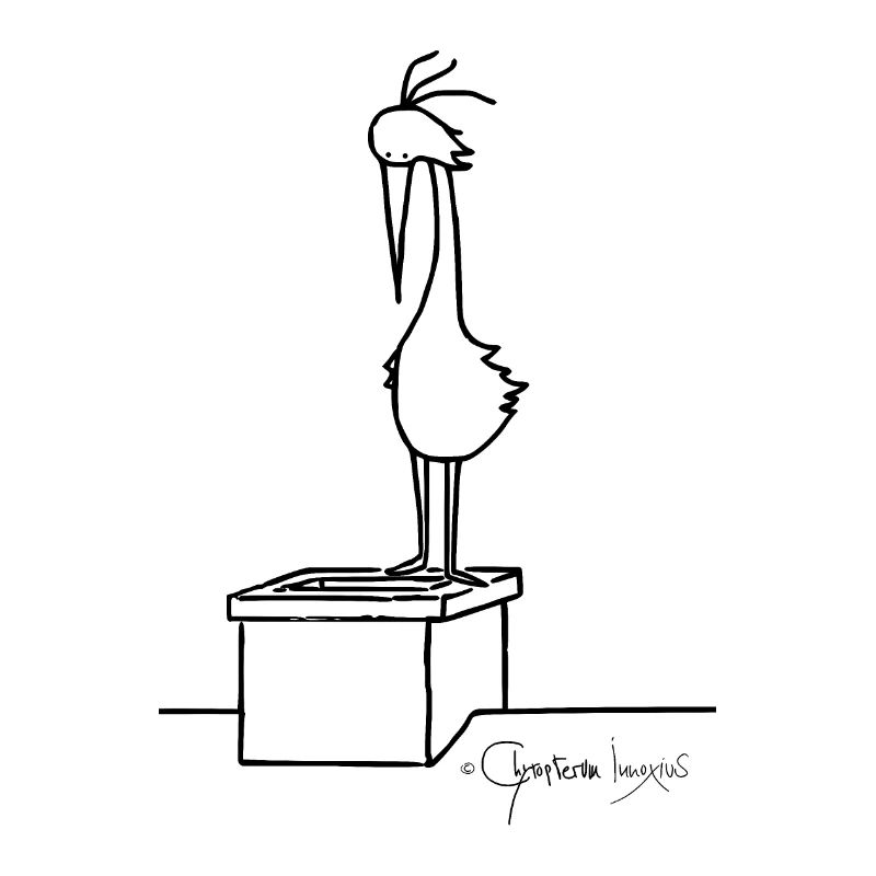 Dachvogel © Chyropterum Innoxius