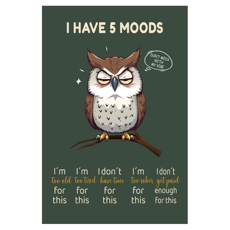 Grumpy Owl – I Have 5 Moods Funny Design