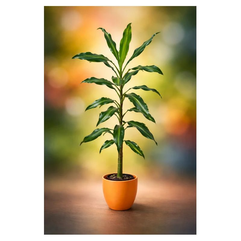 Green potted tree elegance
