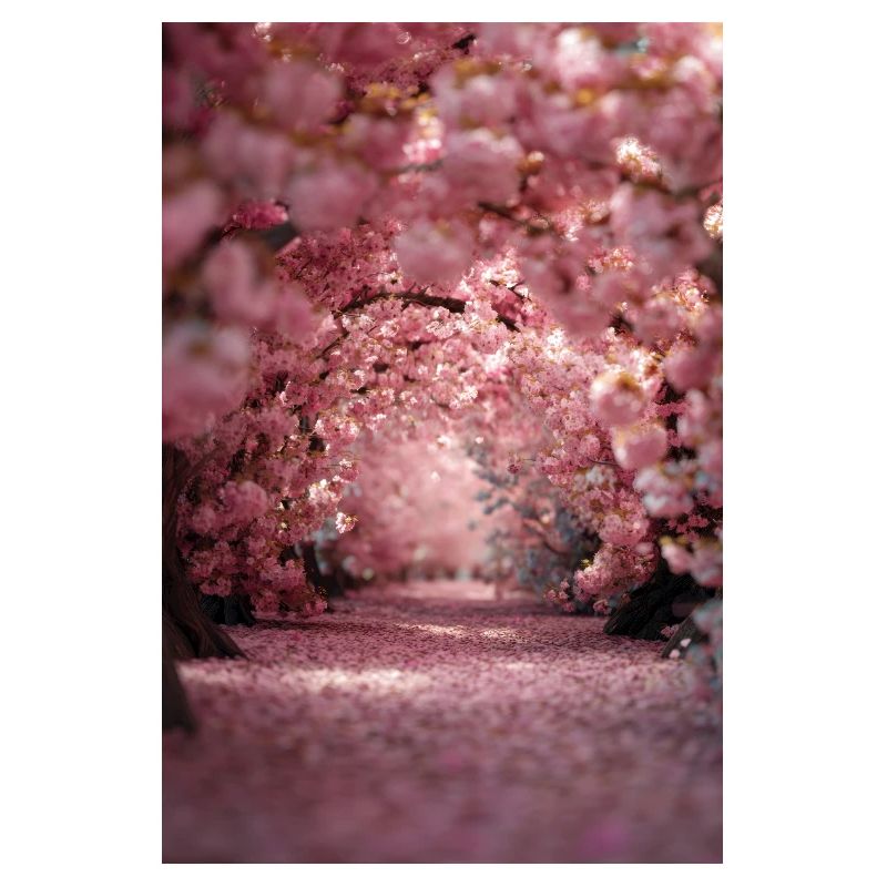 Cherry Blossom Arch Path
