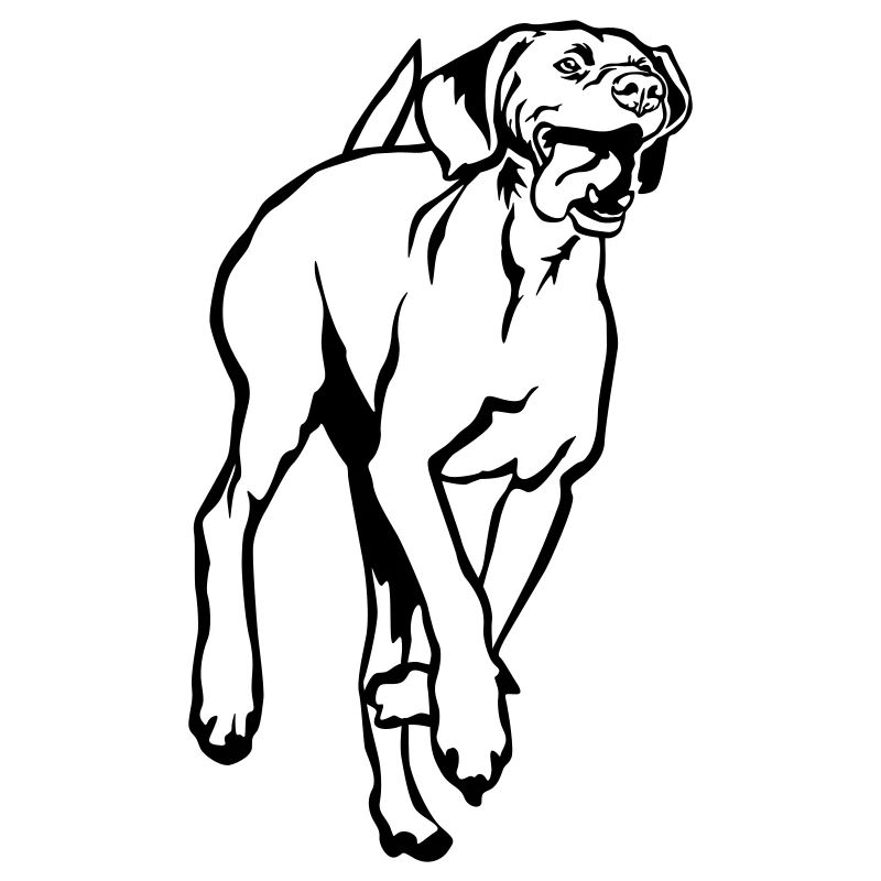 Magyar Vizsla