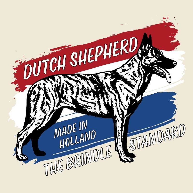 Dutch Shepherd - Dutchie 