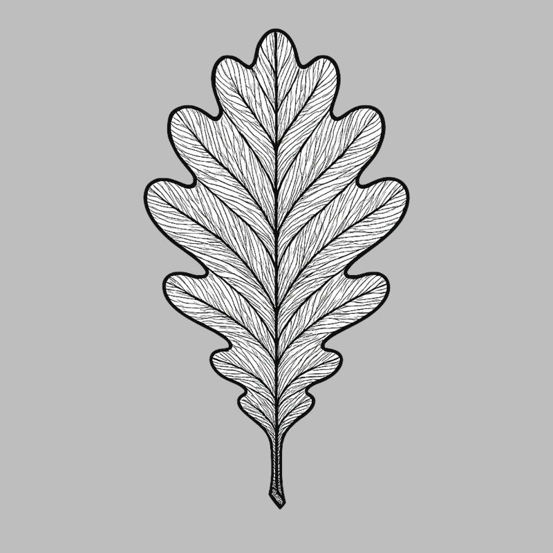 Monochrome oak leaf design