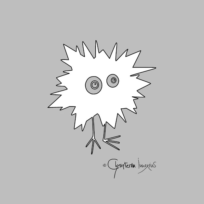 Woolly Beastie flashed © Chyropterum Innoxius