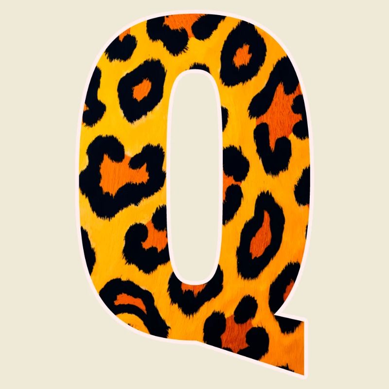 Leopard_Buchstabenmuster_-_Q