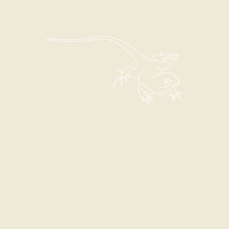 lézard