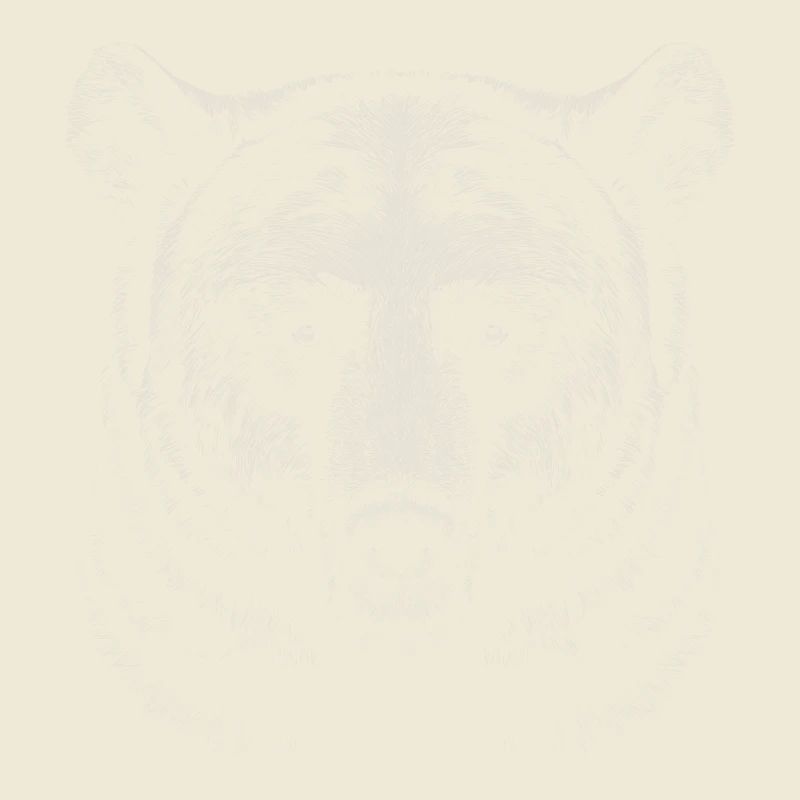 Bär