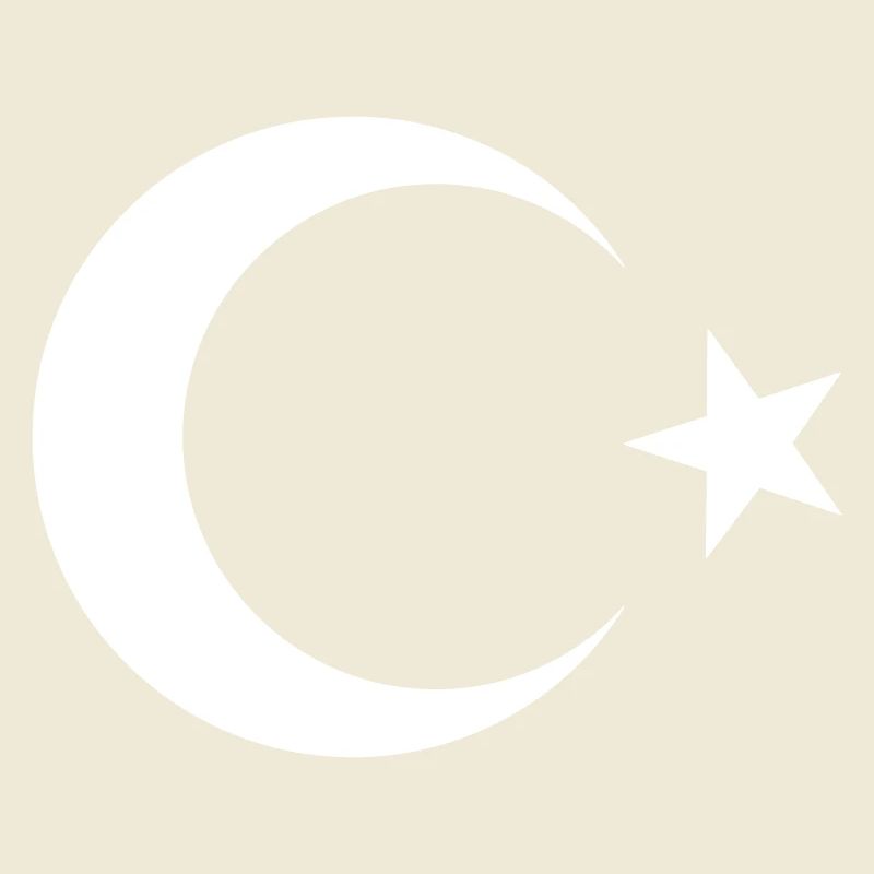 Drapeau turc noir