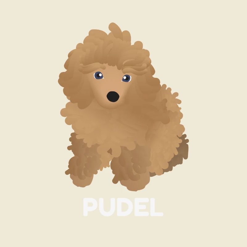 Chiot Caniche