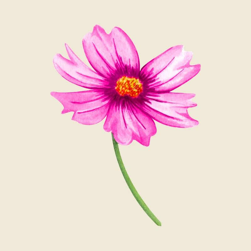 Blume